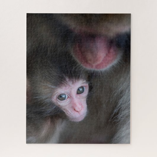 Kutest Baby Animals | Baby Macaque Monkey en moede Legpuzzel (Verticaal)