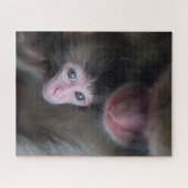 Kutest Baby Animals | Baby Macaque Monkey en moede Legpuzzel (Horizontaal)