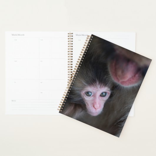 Kutest Baby Animals | Baby Macaque Monkey en moede Planner (Display)