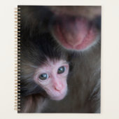 Kutest Baby Animals | Baby Macaque Monkey en moede Planner (Voorkant)