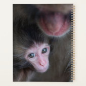 Kutest Baby Animals | Baby Macaque Monkey en moede Planner (Achterkant)