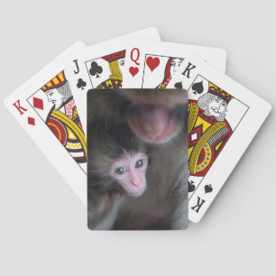 Kutest Baby Animals   Baby Macaque Monkey en moede Pokerkaarten