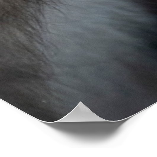 Kutest Baby Animals | Baby Macaque Monkey en moede Poster (Hoek)