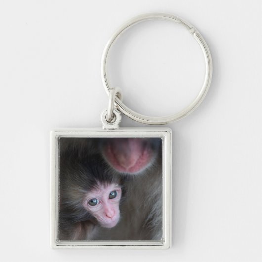 Kutest Baby Animals | Baby Macaque Monkey en moede Sleutelhanger (Voorkant)
