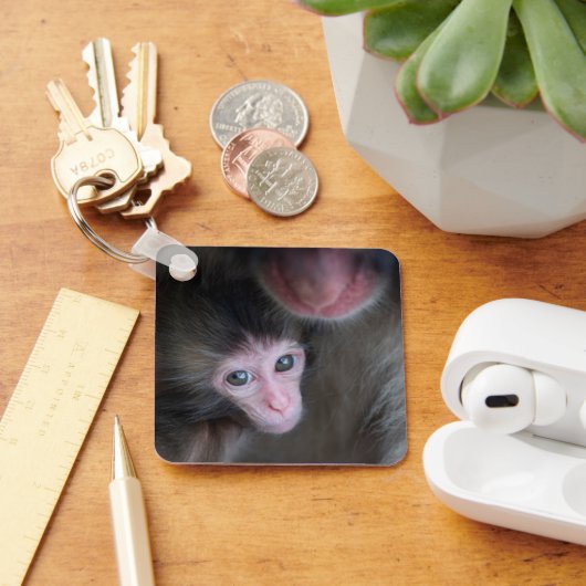 Kutest Baby Animals | Baby Macaque Monkey en moede Sleutelhanger (Bureau)
