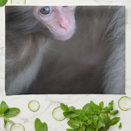 Kutest Baby Animals | Baby Macaque Monkey en moede Theedoek (Gevouwen)