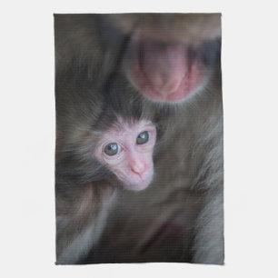 Kutest Baby Animals   Baby Macaque Monkey en moede Theedoek