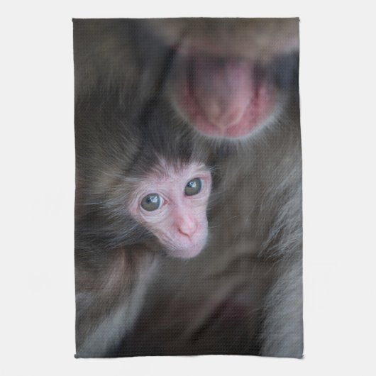 Kutest Baby Animals | Baby Macaque Monkey en moede Theedoek (Verticaal)
