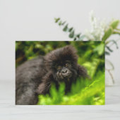 Kutest Baby Animals | Baby Mountain Gorilla Bedankkaart (Staand voorkant)