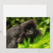 Kutest Baby Animals | Baby Mountain Gorilla Bedankkaart (Voorkant / Achterkant)