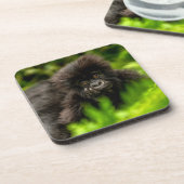 Kutest Baby Animals | Baby Mountain Gorilla Bier Onderzetter (Linkerzijde)