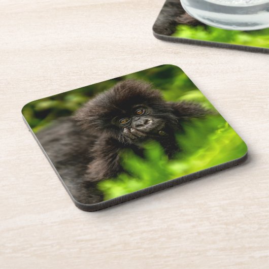 Kutest Baby Animals | Baby Mountain Gorilla Bier Onderzetter (Linkerzijde)