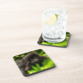 Kutest Baby Animals | Baby Mountain Gorilla Bier Onderzetter (Rechterzijde)