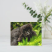Kutest Baby Animals | Baby Mountain Gorilla Briefkaart (Staand voorkant)