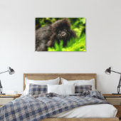 Kutest Baby Animals | Baby Mountain Gorilla Canvas Afdruk (Insitu (Slaapkamer))
