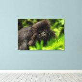Kutest Baby Animals | Baby Mountain Gorilla Canvas Afdruk (Insitu (Houten vloer))