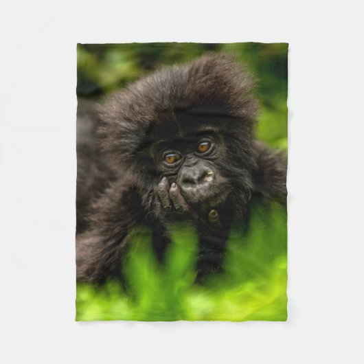 Kutest Baby Animals | Baby Mountain Gorilla Fleece Deken (Voorkant)