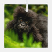 Kutest Baby Animals | Baby Mountain Gorilla Glas Ornament (Achterkant)