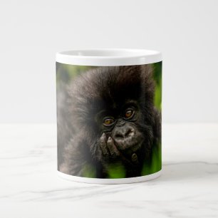 Kutest Baby Animals Baby Mountain Gorilla Grote Koffiekop