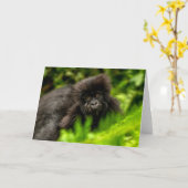 Kutest Baby Animals | Baby Mountain Gorilla Kaart (Gele Bloem)