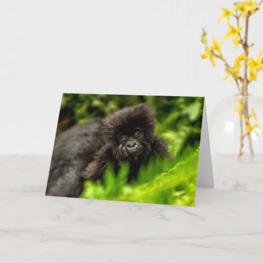 Kutest Baby Animals | Baby Mountain Gorilla Kaart (Gele Bloem)