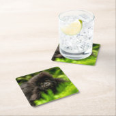 Kutest Baby Animals | Baby Mountain Gorilla Kartonnen Onderzetters (Insitu)