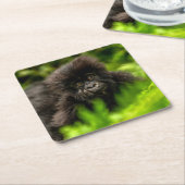 Kutest Baby Animals | Baby Mountain Gorilla Kartonnen Onderzetters (Schuin)