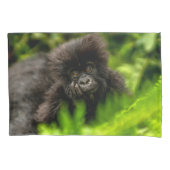 Kutest Baby Animals | Baby Mountain Gorilla Kussensloop (Voorkant)