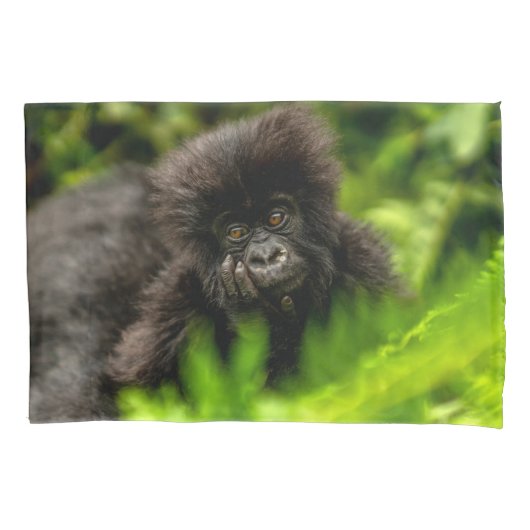 Kutest Baby Animals | Baby Mountain Gorilla Kussensloop (Voorkant)