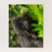 Kutest Baby Animals | Baby Mountain Gorilla Legpuzzel (Verticaal)