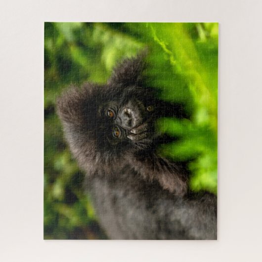 Kutest Baby Animals | Baby Mountain Gorilla Legpuzzel (Verticaal)