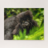 Kutest Baby Animals | Baby Mountain Gorilla Legpuzzel (Horizontaal)