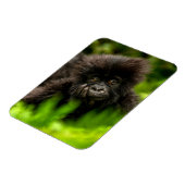 Kutest Baby Animals | Baby Mountain Gorilla Magneet (Linkerzijde)