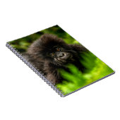Kutest Baby Animals | Baby Mountain Gorilla Notitieboek (Rechterzijde)