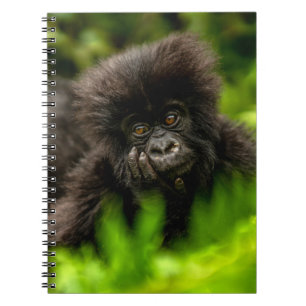 Kutest Baby Animals   Baby Mountain Gorilla Notitieboek