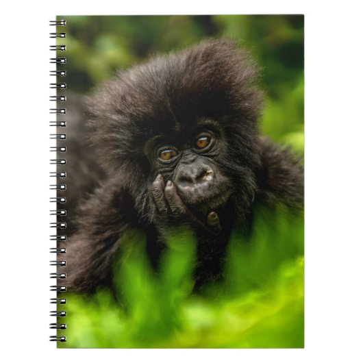 Kutest Baby Animals | Baby Mountain Gorilla Notitieboek (Voorkant)