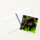 Kutest Baby Animals | Baby Mountain Gorilla Notitieboek (Binnen)