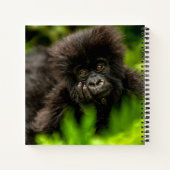Kutest Baby Animals | Baby Mountain Gorilla Notitieboek (Achterkant)