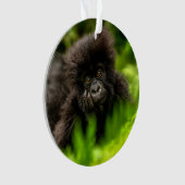 Kutest Baby Animals | Baby Mountain Gorilla Ornament (voorkant)