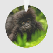 Kutest Baby Animals | Baby Mountain Gorilla Ornament (voorkant)