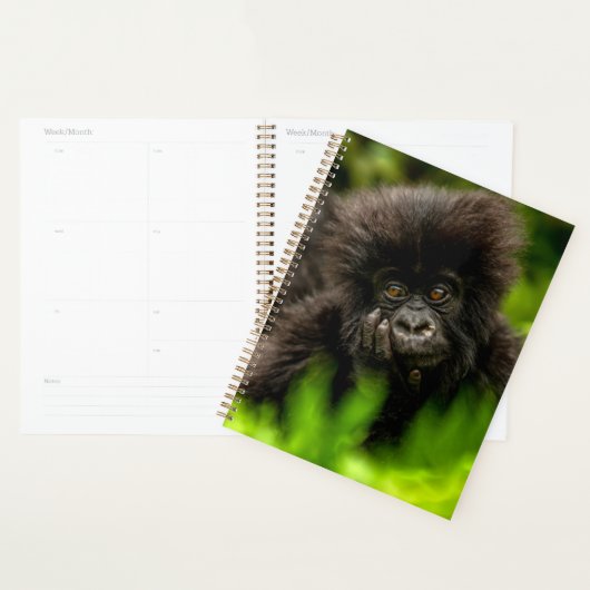 Kutest Baby Animals | Baby Mountain Gorilla Planner (Display)