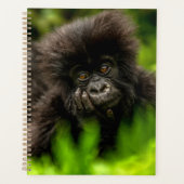 Kutest Baby Animals | Baby Mountain Gorilla Planner (Voorkant)