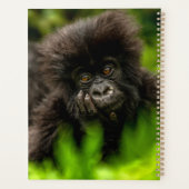 Kutest Baby Animals | Baby Mountain Gorilla Planner (Achterkant)
