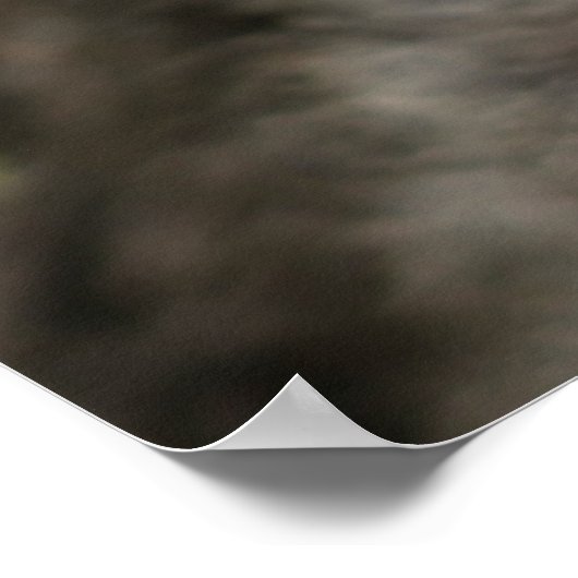 Kutest Baby Animals | Baby Mountain Gorilla Poster (Hoek)