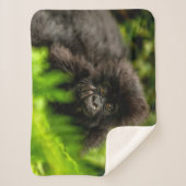 Kutest Baby Animals | Baby Mountain Gorilla Sherpa Deken (Voorkant)