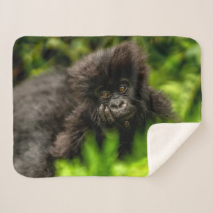 Kutest Baby Animals Baby Mountain Gorilla Sherpa Deken