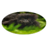 Kutest Baby Animals | Baby Mountain Gorilla Snijplank (Hoek)