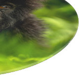 Kutest Baby Animals | Baby Mountain Gorilla Snijplank (Hoek)
