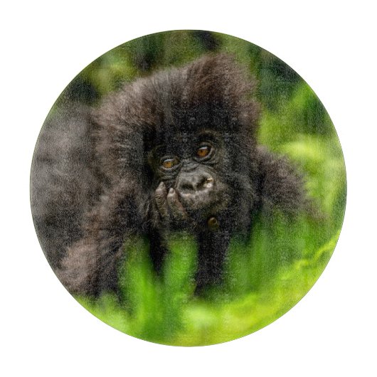 Kutest Baby Animals | Baby Mountain Gorilla Snijplank (Voorkant)