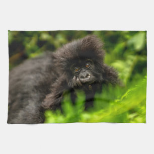 Kutest Baby Animals   Baby Mountain Gorilla Theedoek